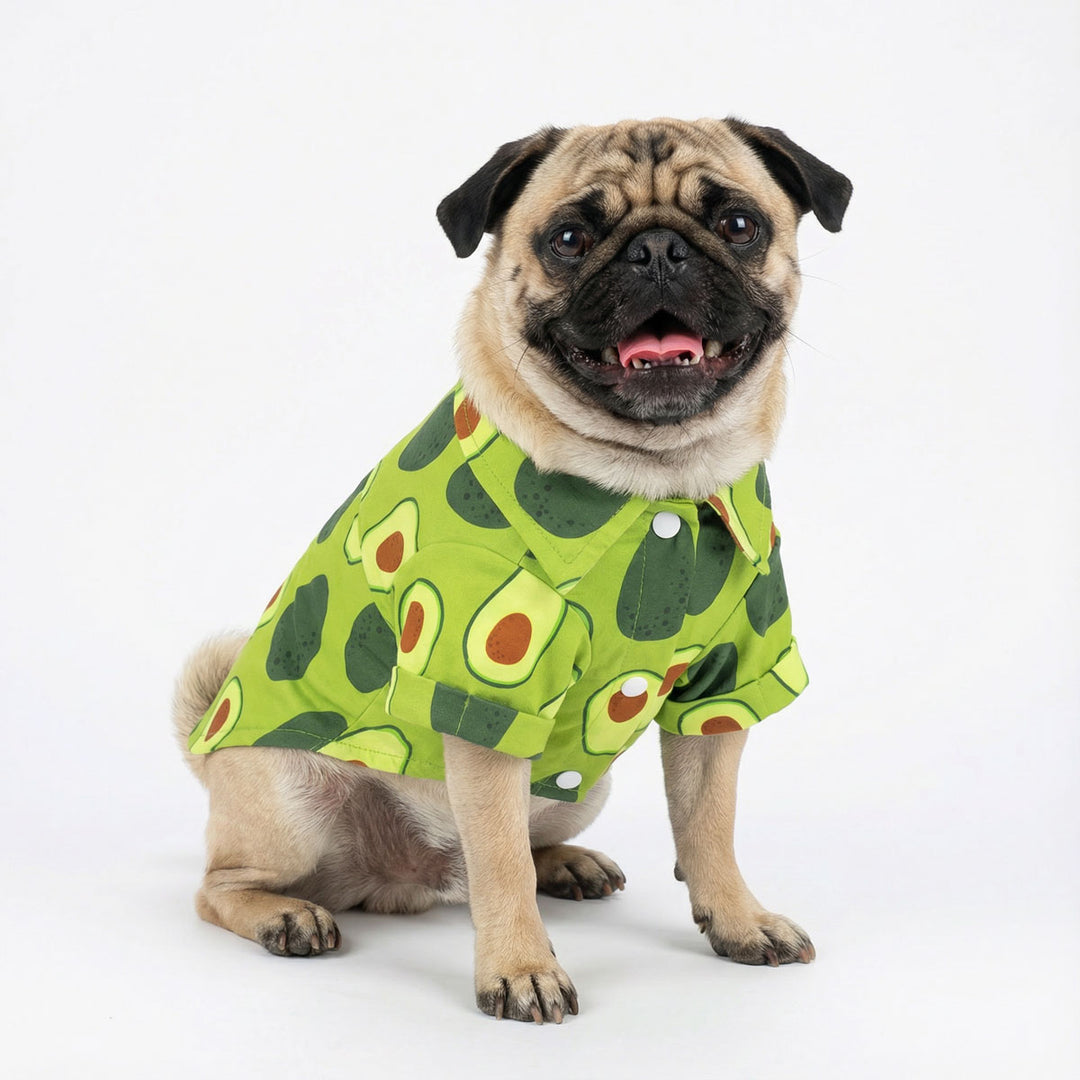 Smiling pug dressed in an avocado patterned shirt for dogs