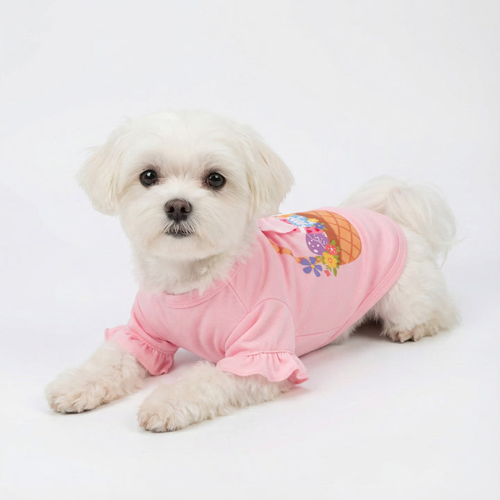 Small Maltese wearing a pink Easter dog shirt with a basket print filled with flower and Easter eggs