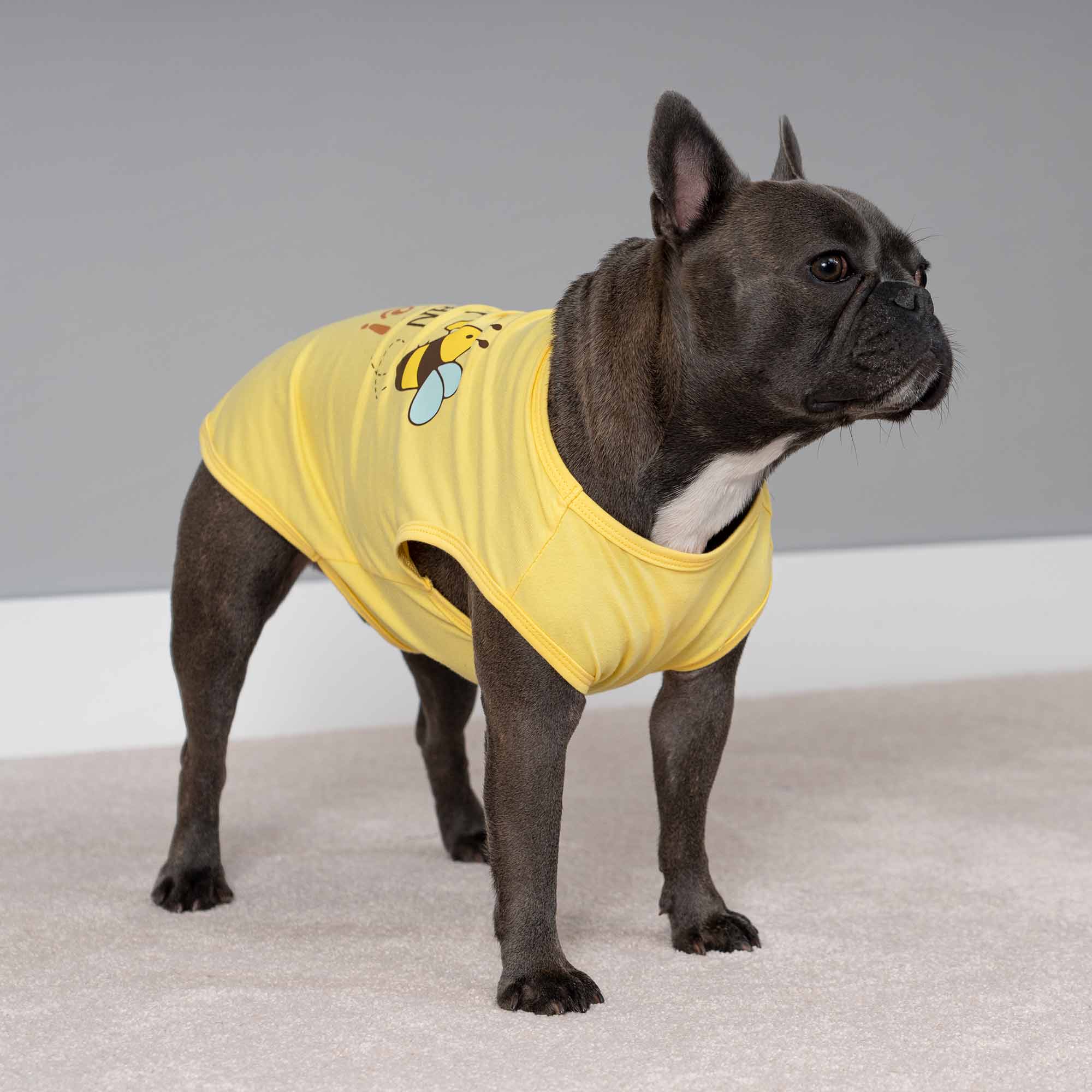 Bee the Best You Can Bee Funny Dog Shirt | Yellow Dog Tee – Fitwarm