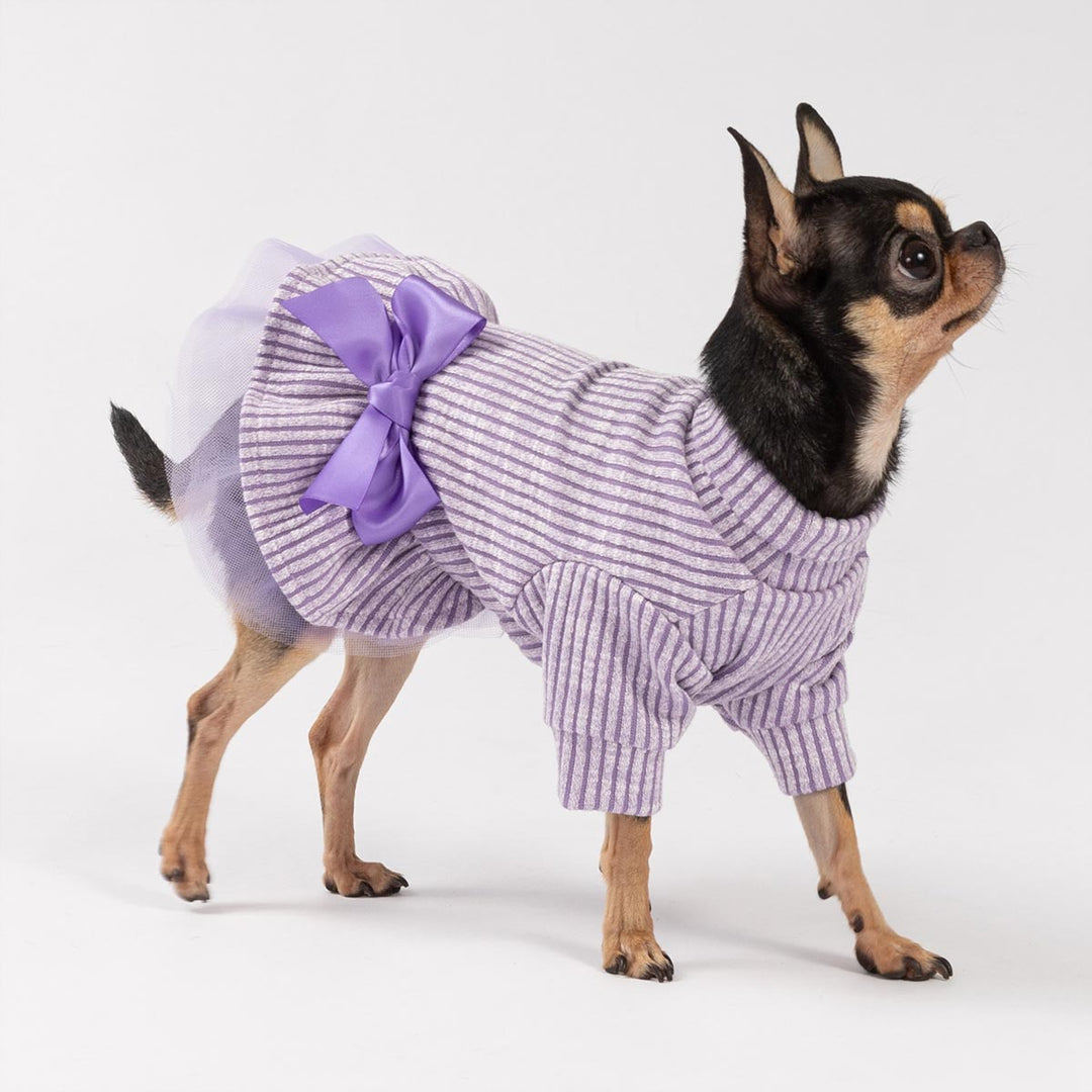 Knitted dog dress with a purple bow worn by a small dog