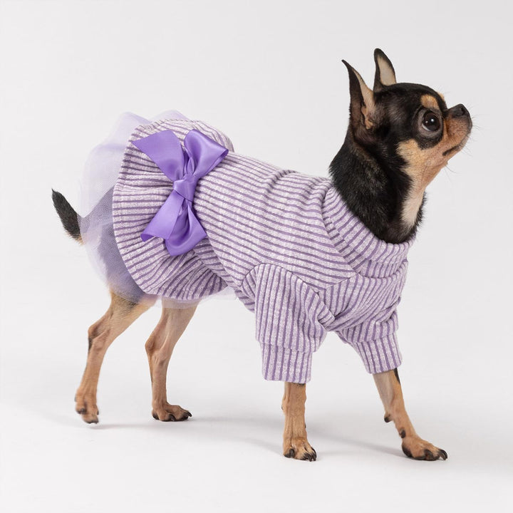 Knitted dog dress with a purple bow worn by a small dog