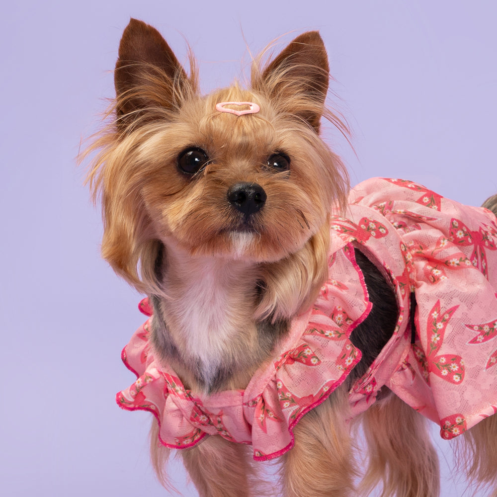Cat Valentine Clothes MuYaoPet Pink Dog Dress - Cute Valentine's Day Outfit With Flower Tutu Skirt For Small Dogs & Cats, Size XL Valentine's Dog Dress Cat Valentine Clothes MuYaoPet Pink Dog Dress - Cute Valentine's Day Outfit With Flower Tutu Skirt For Small Dogs & Cats, Size XL Valentine's Dog Dress