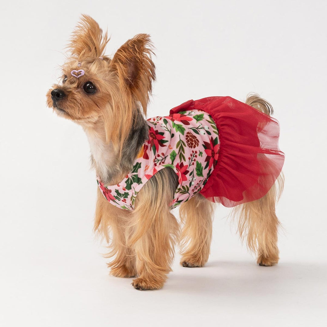 Yorkshire dog posing in a red floral Christmas dog dress with tulle details