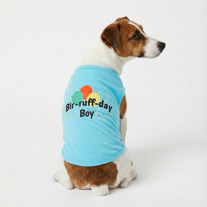 Dog sitting on ground with a shirt for dogs with ' bir-ruff-day boy' lettering, confetti, and balloon prints