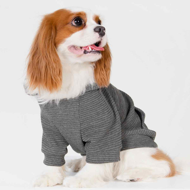 Stylish Waffle Dog Hoodie for King Charles Spaniel - Fitwarm Dog Clothes