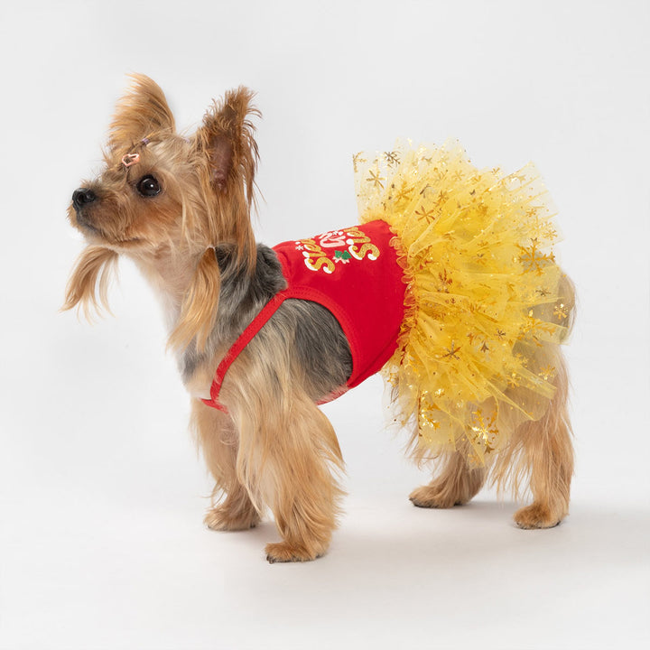Small dog dressed in a Christmas dog tutu dress featuring a red bodice and gold snowflake tulle