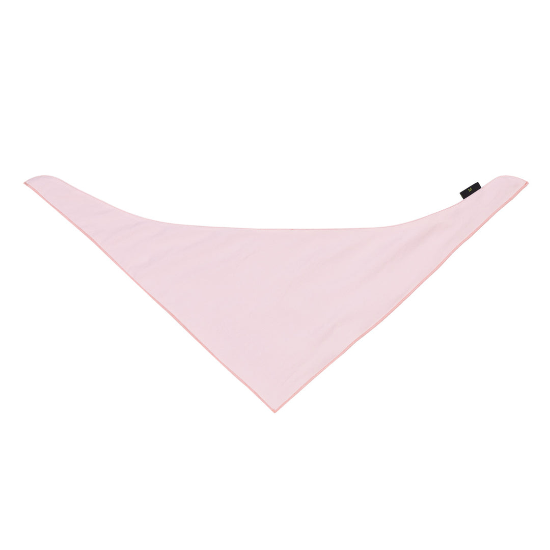 Custom Embroidered Dog Bandana