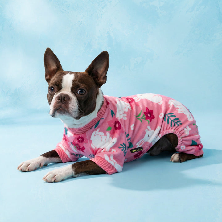 Dog lying on the floor with a dog Easter pajamas