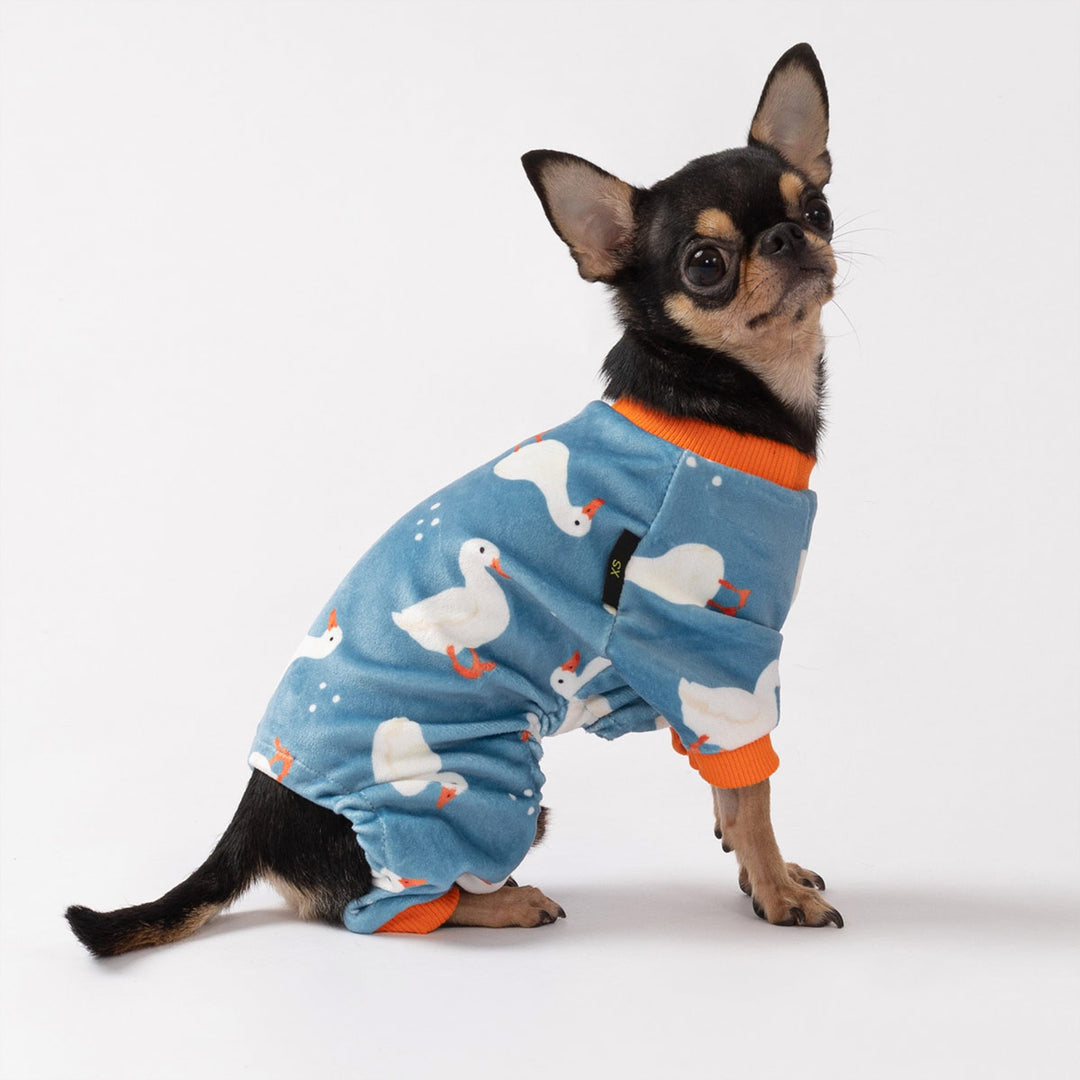 Dog dressed in cozy dog pjs featuring cute white duck illustrations