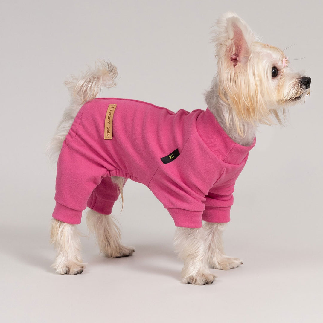 Cute pup dressed in pink dog onesie while standing upright