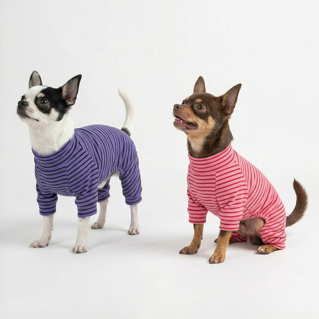 Two chihuahuas wearing striped dog pajamas, one in purple and one in pink