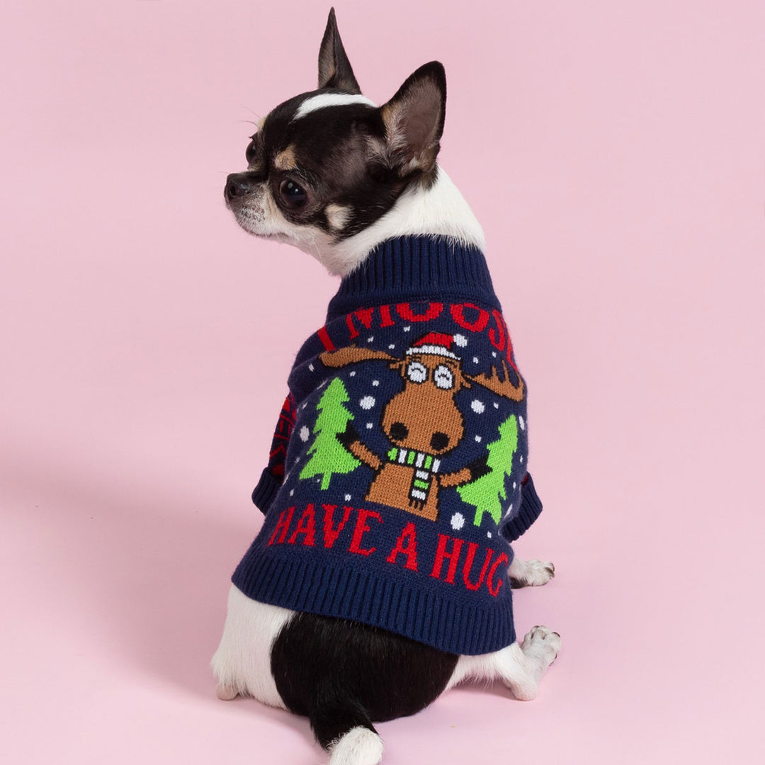 Chihuahua dressed in festive Christmas dog sweater featuring a moose graphic and holiday knit details