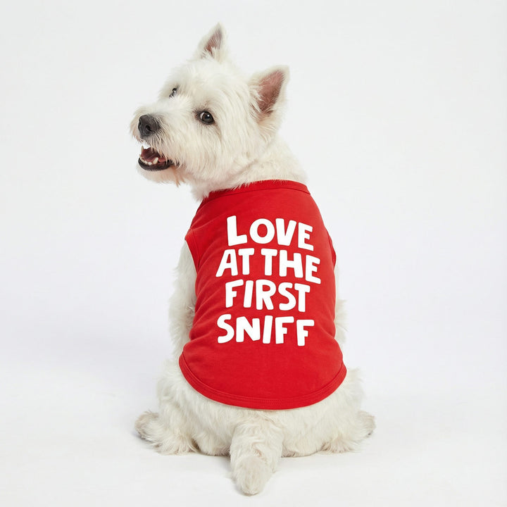 Westie wearing a red shirt with 'LOVE AT THE FIRST SNIFF' text on a white background