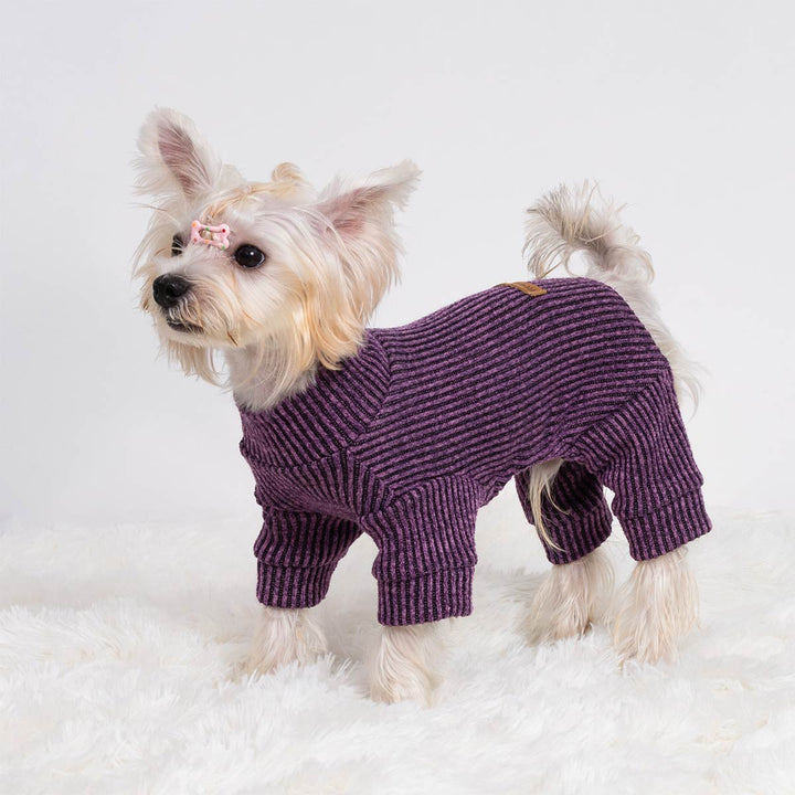 Adorable dog dressed in ribbed knitted dog onesie featuring a soft purple texture and snug fit