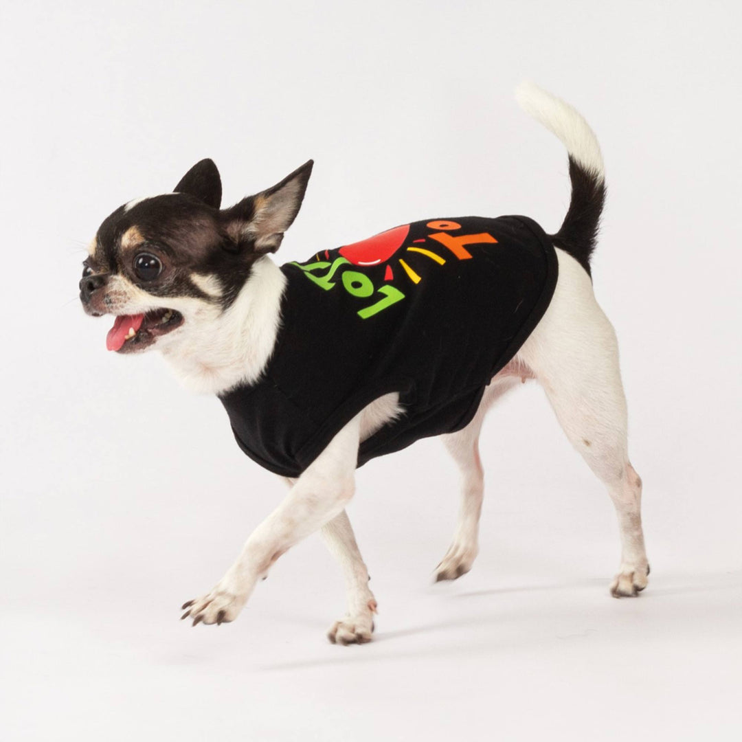 Playful pup in a black Valentine dog tank top featuring bright heart-themed prints, running across a white backdrop