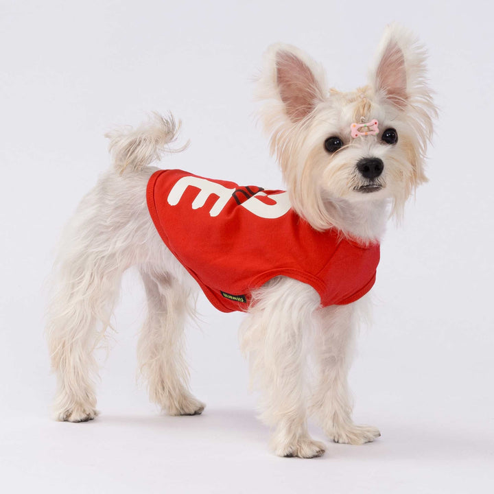 Dog wearing a red Valentine dog shirt with a bold heart graphic and 'love you' lettering