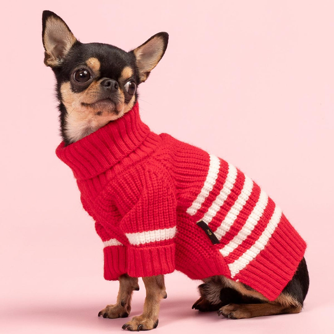 Sailor Striped Dog Sweater Cozy Stylish Fitwarm - Main Image