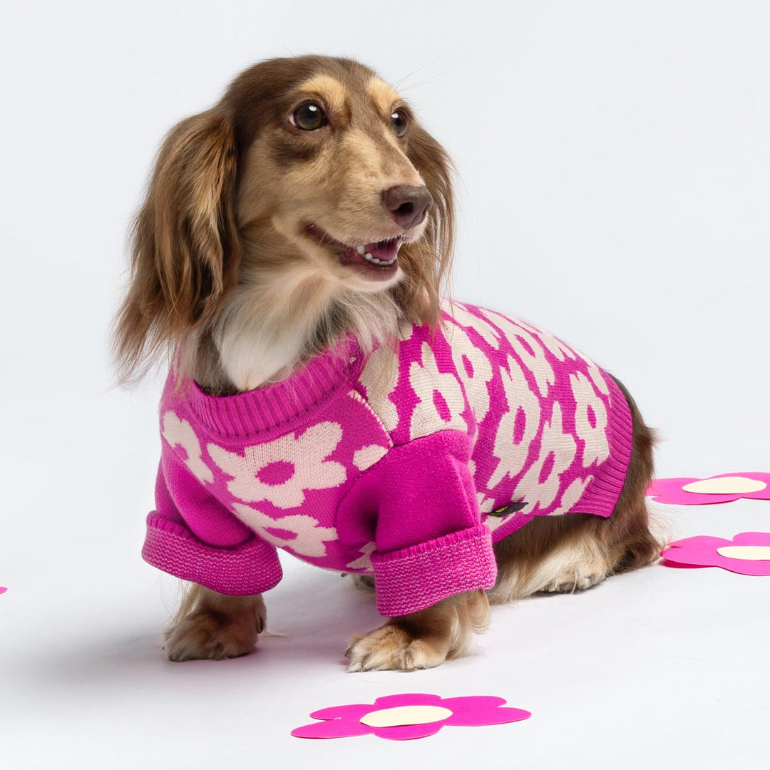 Puppia Ren Jacket Harness For Dogs - Warm Fleece-Lined Winter Pullover, Flower Pattern (Pink, Small)