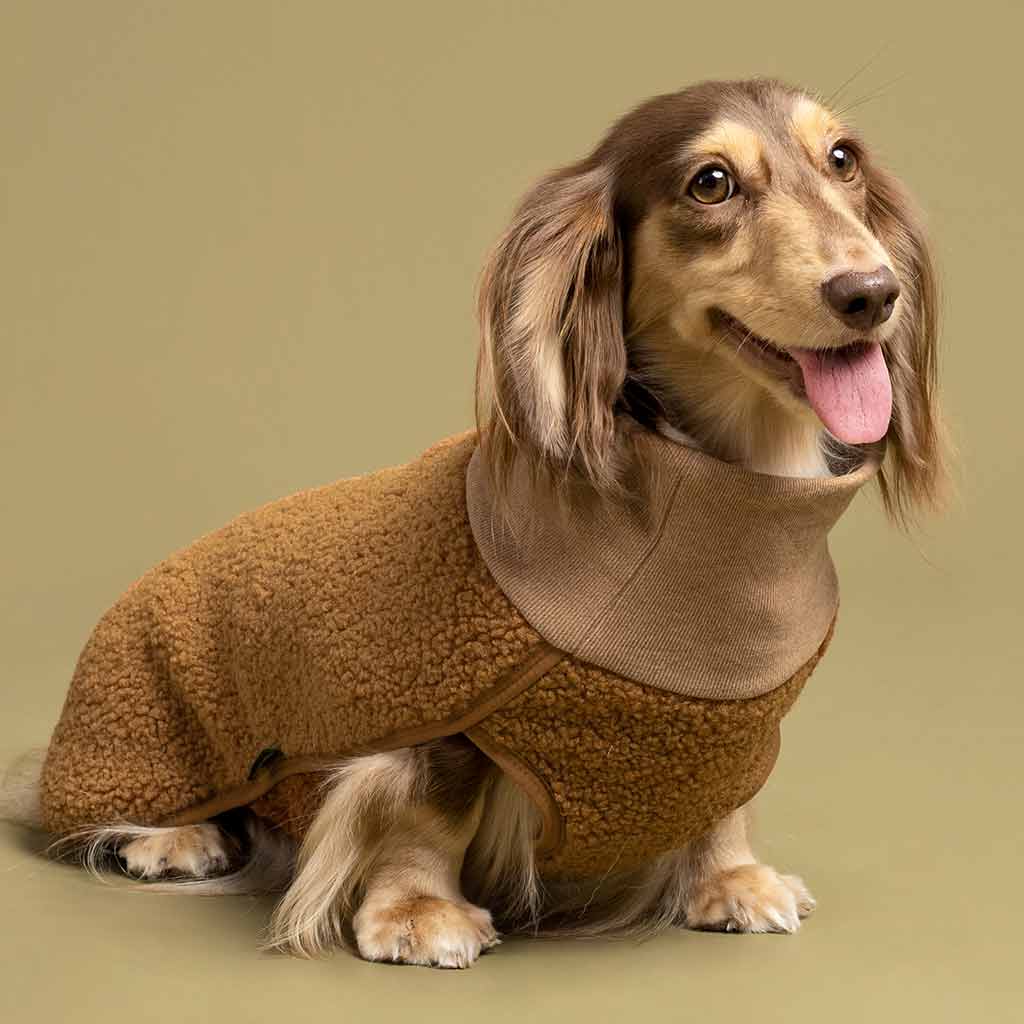 Sherpa Turtleneck Sweater for Dogs Cats Warm Apparel – Fitwarm