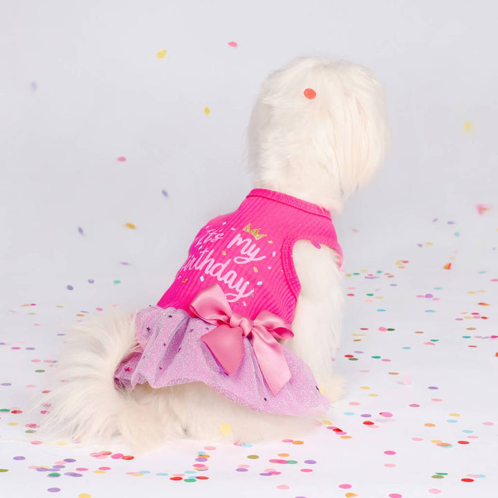 'It's My Birthday' Dog Dress for Maltese - Fitwarm Dog Clothes