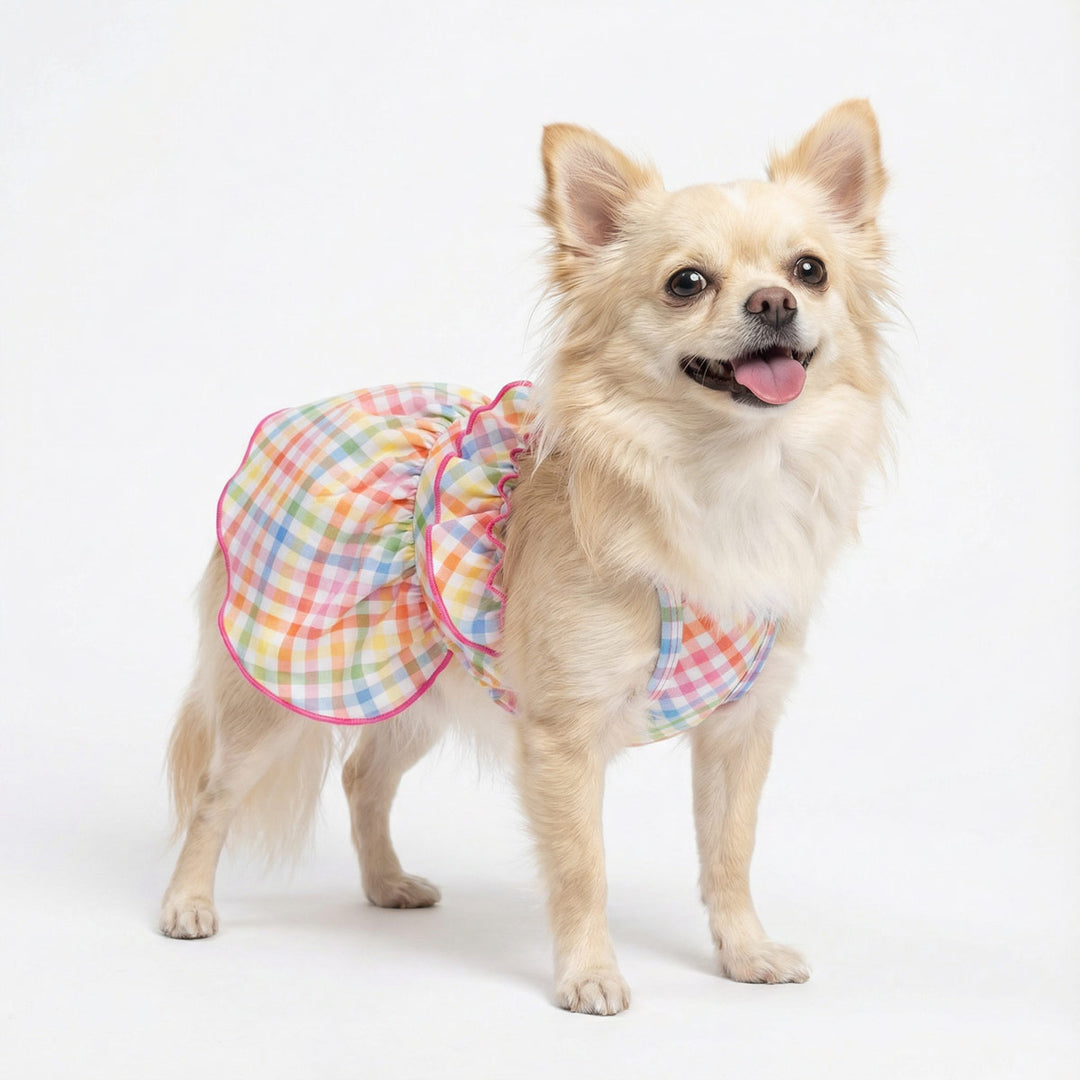 Small chihuahua modeling colorful plaid dog dress with layered ruffles