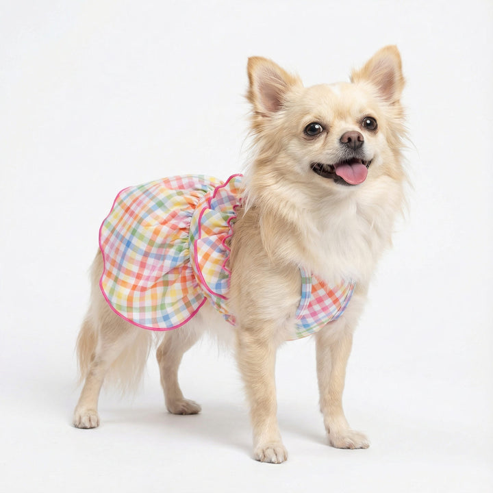 Small chihuahua modeling colorful plaid dog dress with layered ruffles
