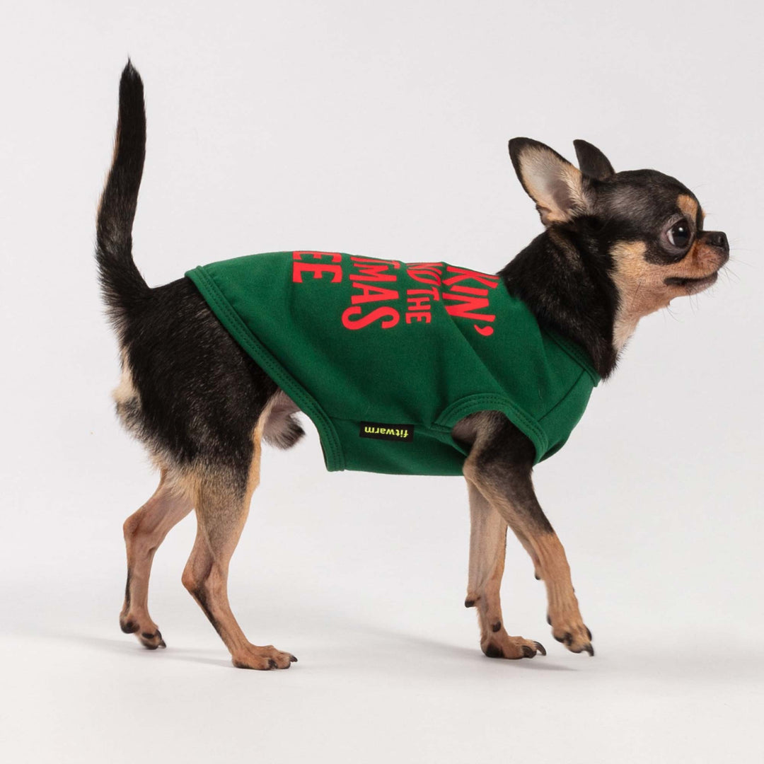 Small dog dressed in a green Christmas dog tank top with red holiday lettering