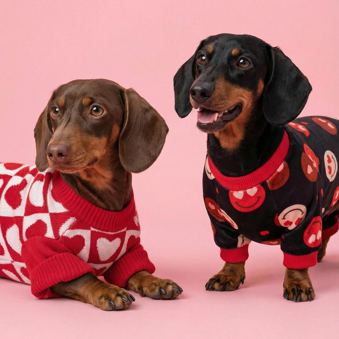 Heart-eyes smile dog pajamas in black with emoji pattern, paired with a red and white heart sweater for dachshunds.