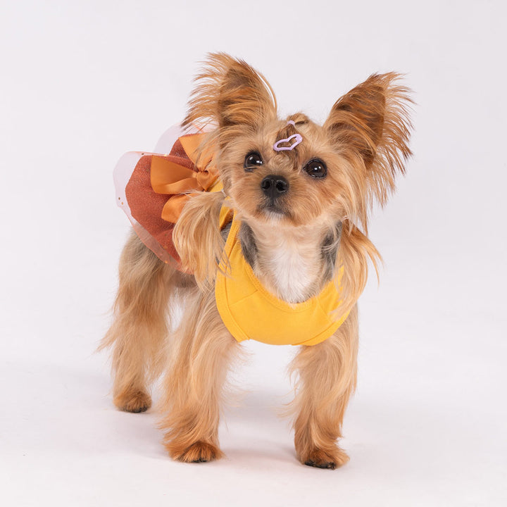 Cute pup wearing glittery orange turkey Thanksgiving dog dress with satin bow detail