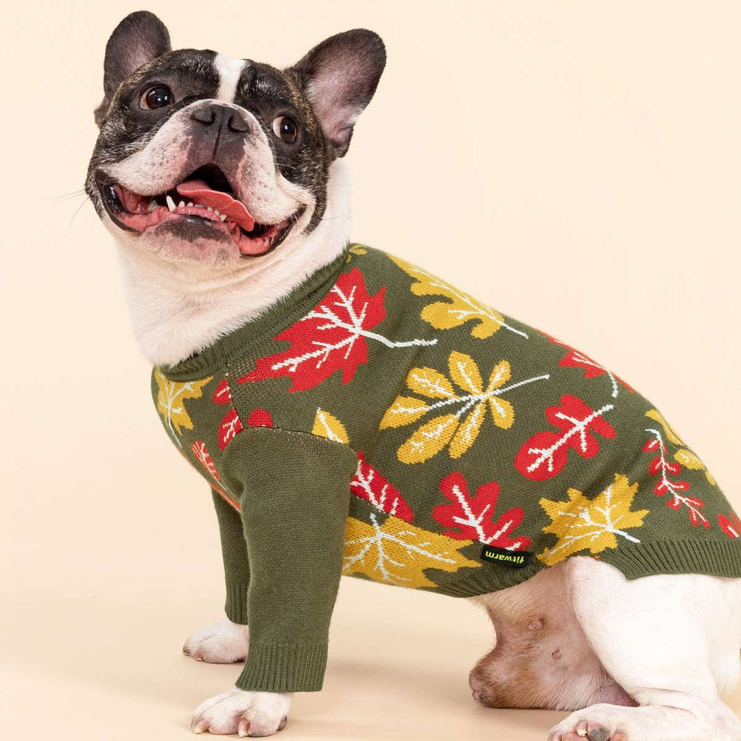Olive green dog sweater featuring colorful autumn leaves, styled on a standing pup