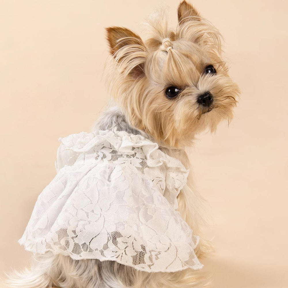 Dog Wedding Outfit | Fitwarm Dog Wedding Outfit | Fitwarm