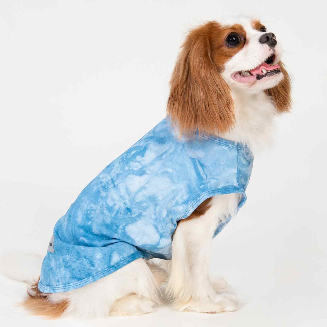 King Charles Spaniel in Stylish Tie Dye Dog Tank Top - Fitwarm Dog Clothes