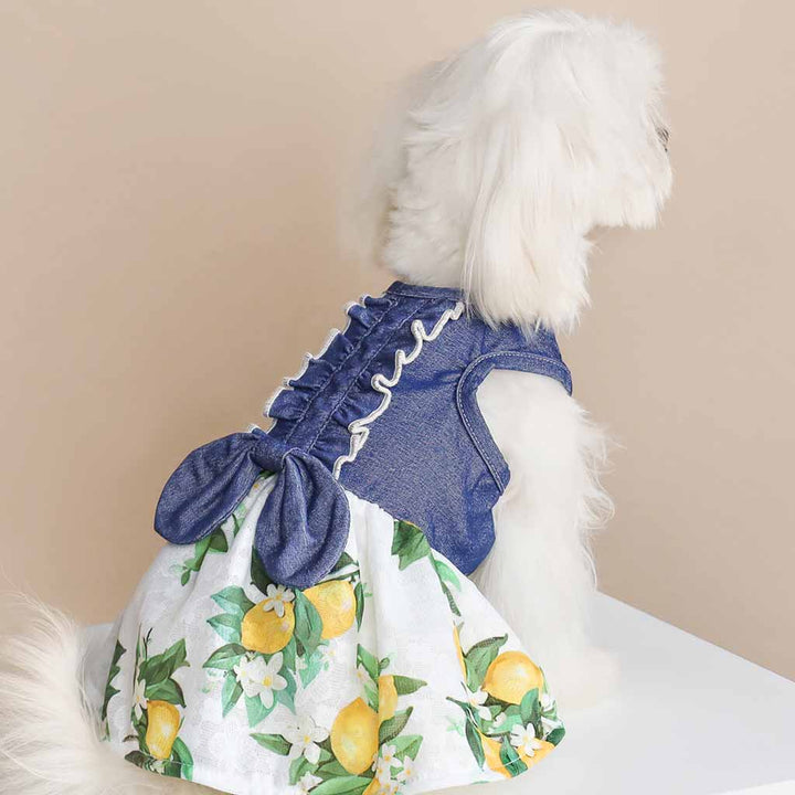 Maltese in a Stylish Denim Dog Dress with Lemon Prints - Fitwarm Dog Clothes