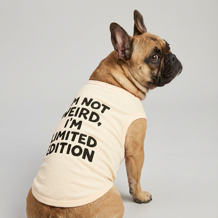 French bulldog in a inspiring dog tank top