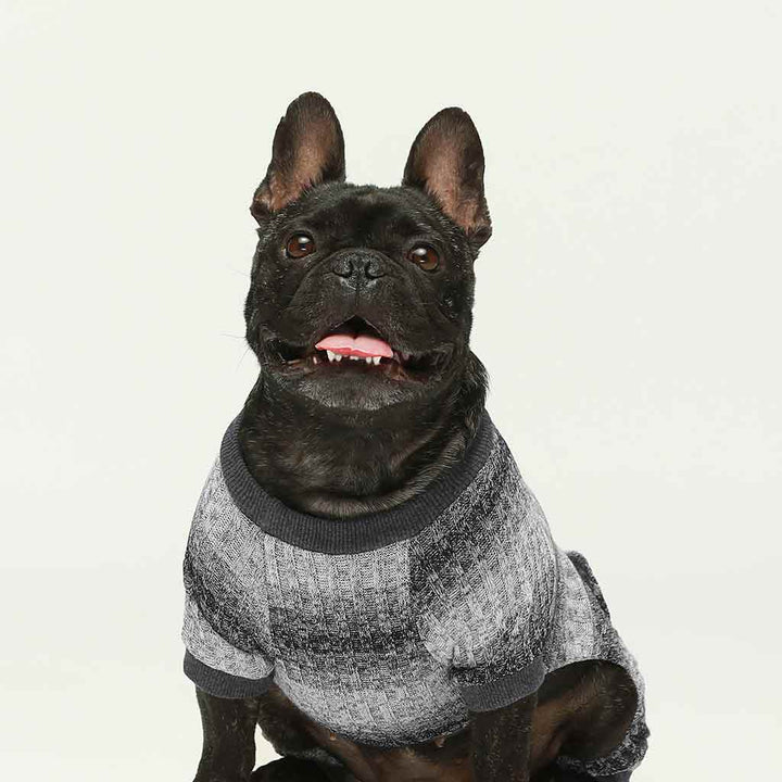 Uneven color Knitted Dog Pajamas