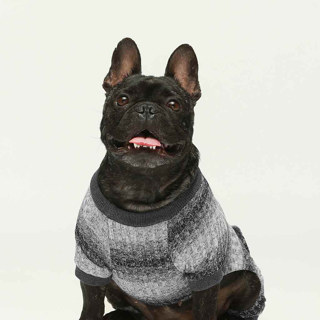 Pyjama tricoté de chien de couleur inégale