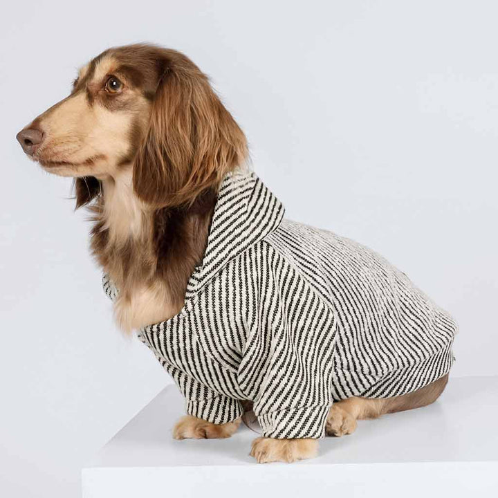 Dachshund in a Sliver Dog Hoodie with Stripes - Fitwarm Dog Clothes