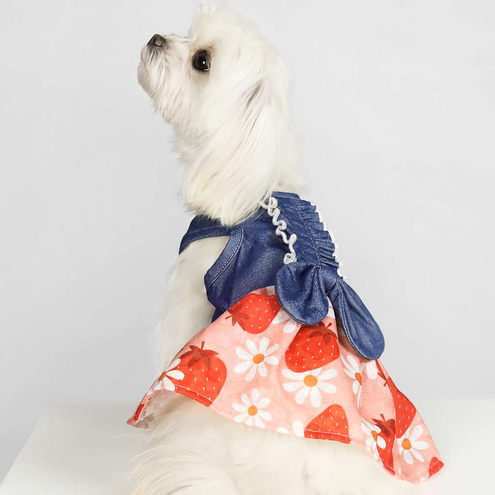  Strawberry and Flower Prints Dog Dress with Denim Bow on Maltese - Fitwarm Dog Clothes