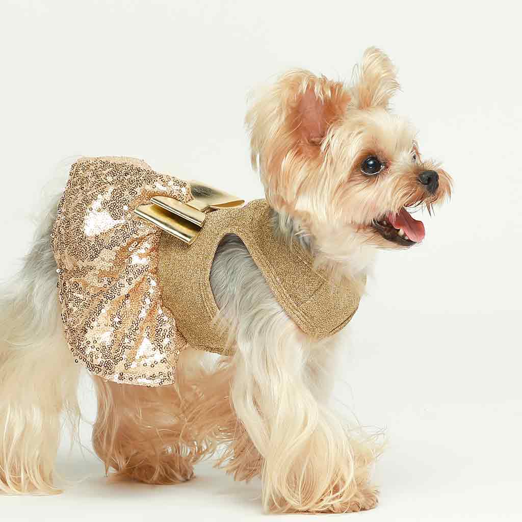 Golden Retriever Puppy Clothes Beautiful Dog Dresses 36 DOG COUTURE Ideas Dog Clothes, Doggie Style, Pet Golden Retriever Puppy Clothes Beautiful Dog Dresses 36 DOG COUTURE Ideas Dog Clothes, Doggie Style, Pet