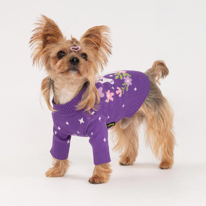 Adorable dog dressed in a knitted purple sweater for dogs featuring a unicorn and star design