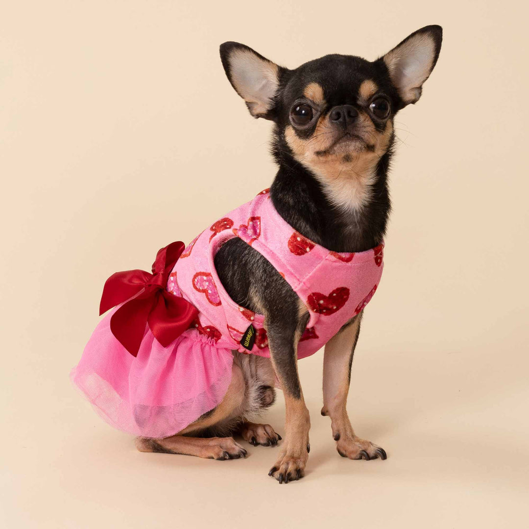 Cute dog dressed in a pink valentine dog dress featuring red heart designs