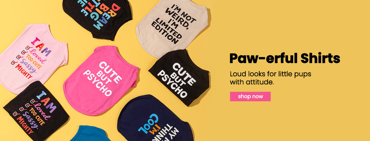 Summer dog tank top design with encouraging lettering