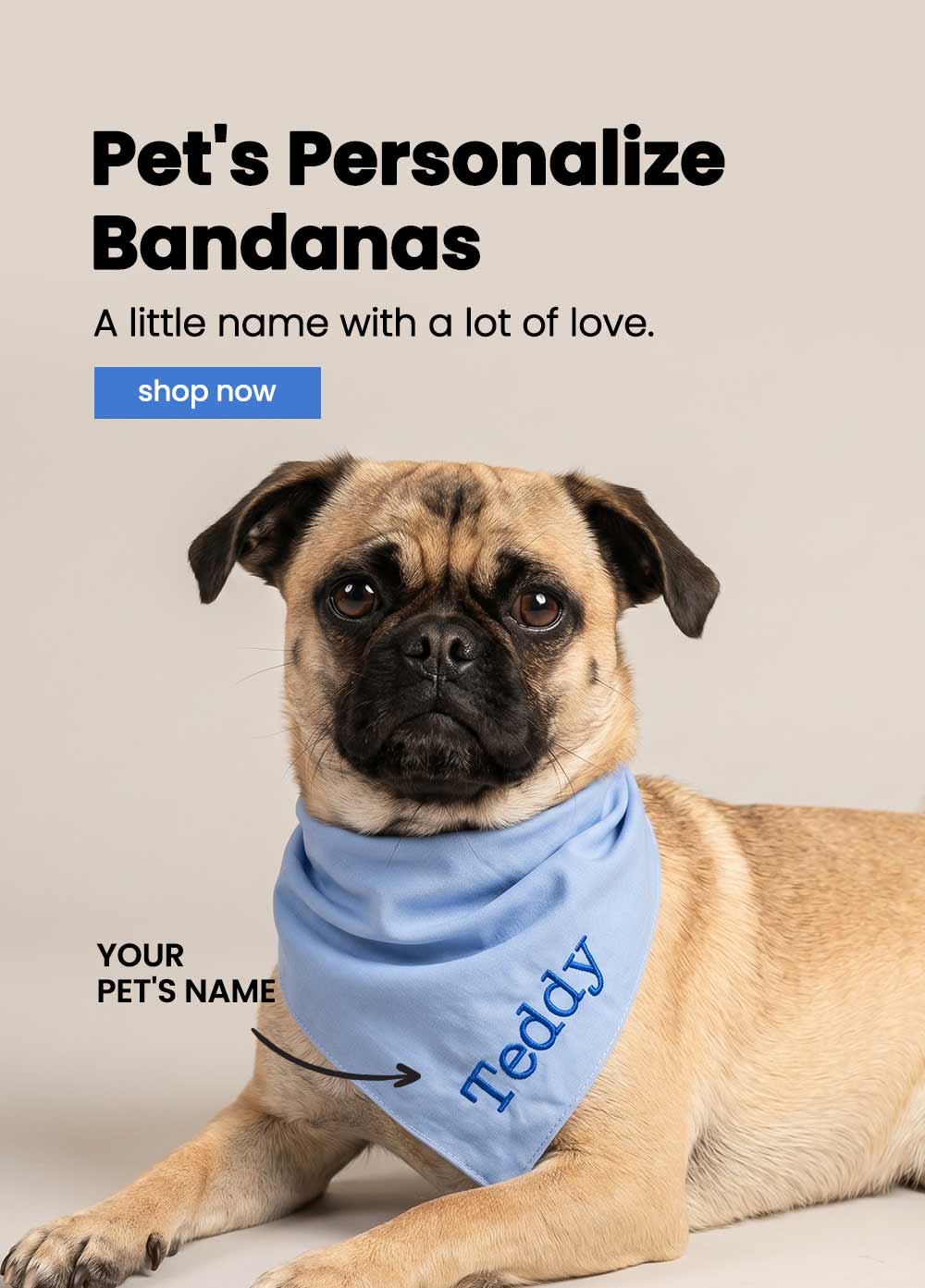 Dog wearing a blue bandana with 'Teddy' on it, promotional text for personalized dog bandanas.
