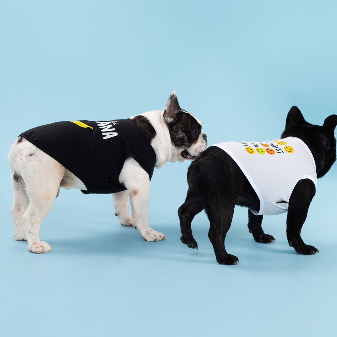 Two French Bulldogs wearing dog tank tops, one in black with banana print and one in white with smiley faces