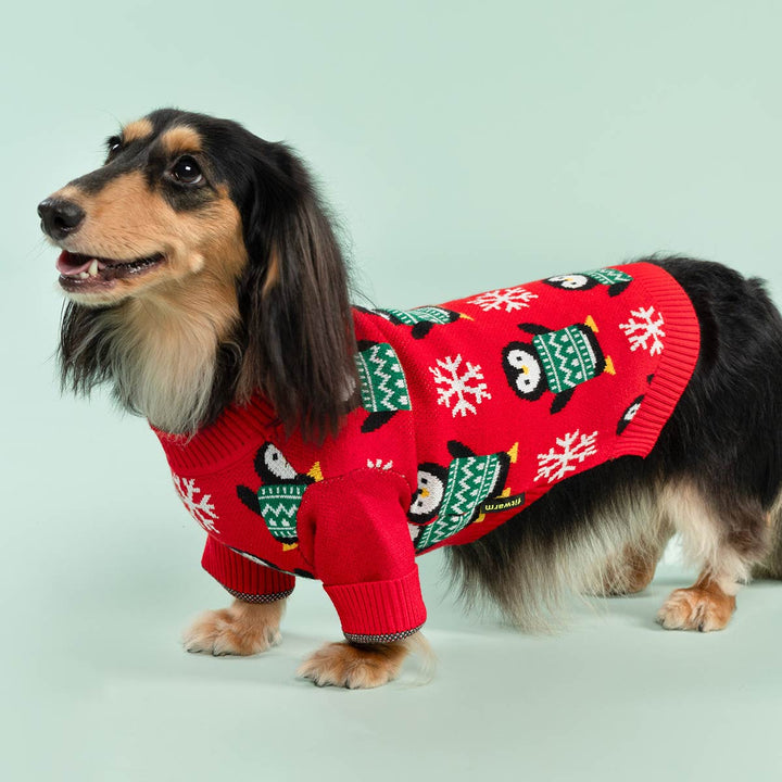 Cute dog in cozy knit dog Christmas sweater featuring green penguins and white snowflakes