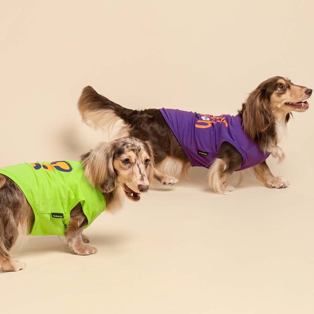 Halloween Dog Tank Top | Spooky Pet Costume | Lime Green Medium Halloween Dog Tank Top | Spooky Pet Costume | Lime Green Medium