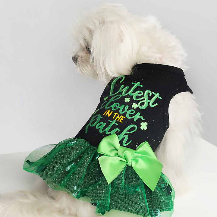 Maltese in a Charming Dog Dress with 'Cutest Clover in the Patch' Lettering - Fitwarm Dog Clothes
