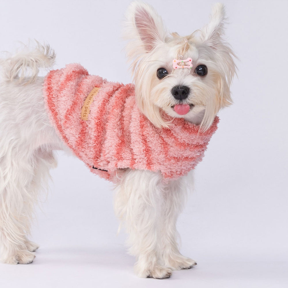 White fluffy dog wearing pink striped dog sweater
