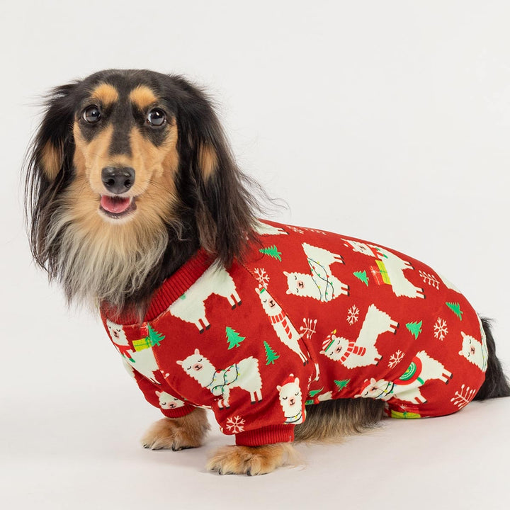 Dachshund in red holiday dog onesie decorated with alpacas