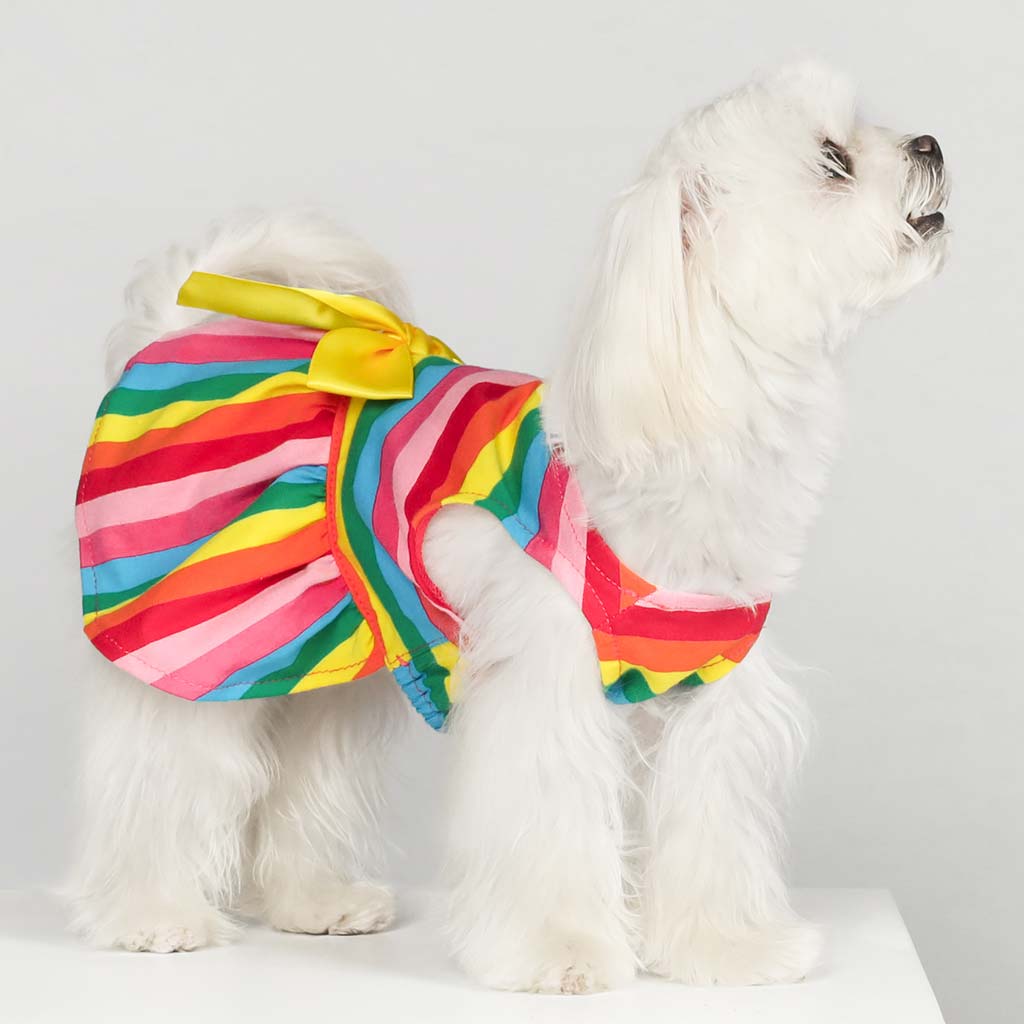 Maltese in a Cute Dog Dress with Rainbow Stripes - Fitwarm Dog Clothes